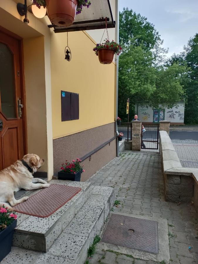 Msprivat Hotel Karlovy Vary Exterior foto